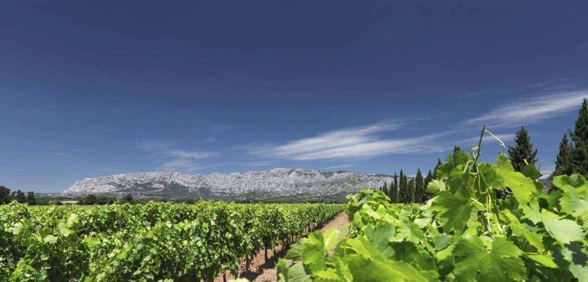Domaine la Grande Bauquière