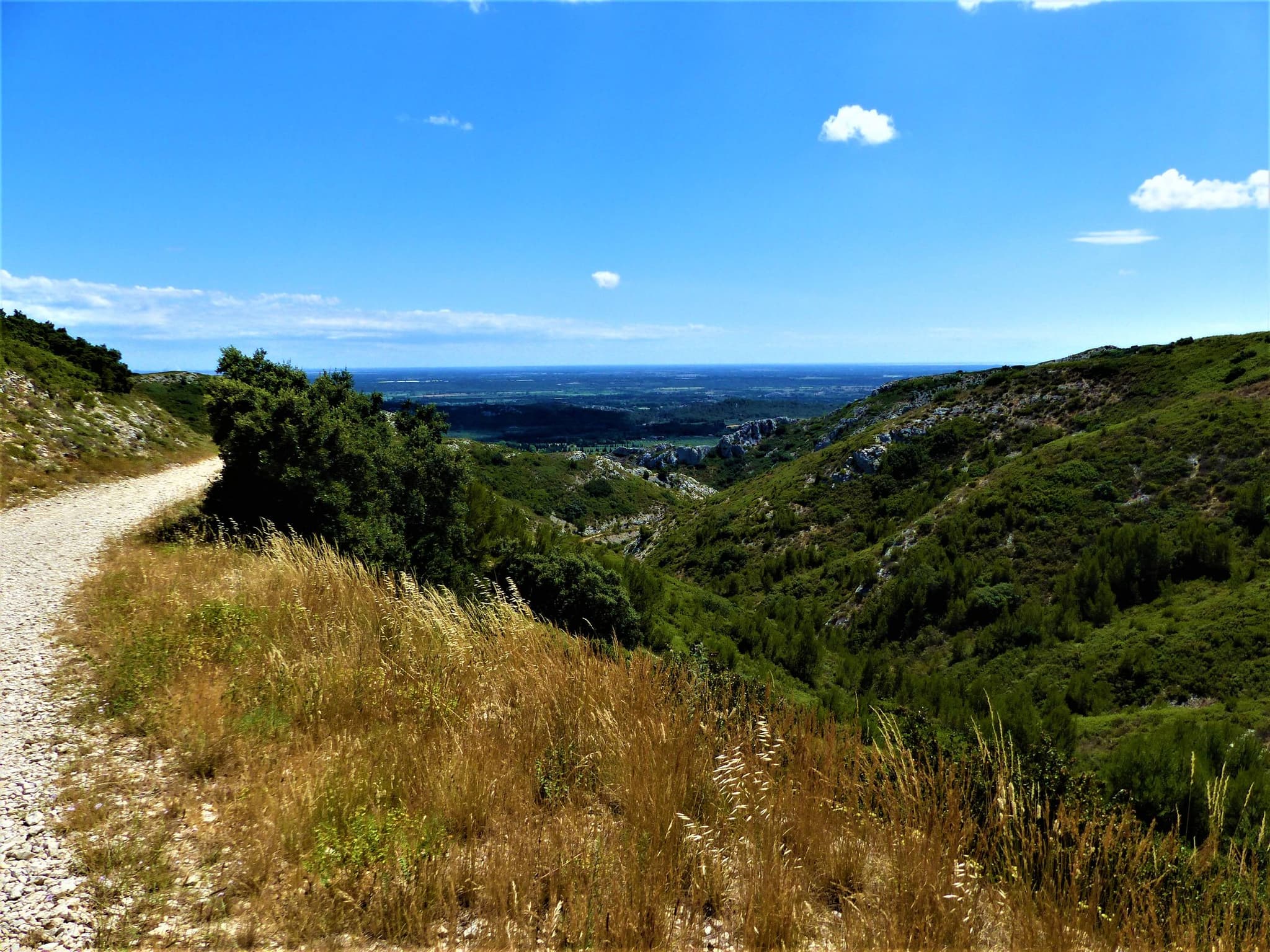 SAINT-RÉMY-DE-PROVENCE - De Saint-Rémy aux Baux
