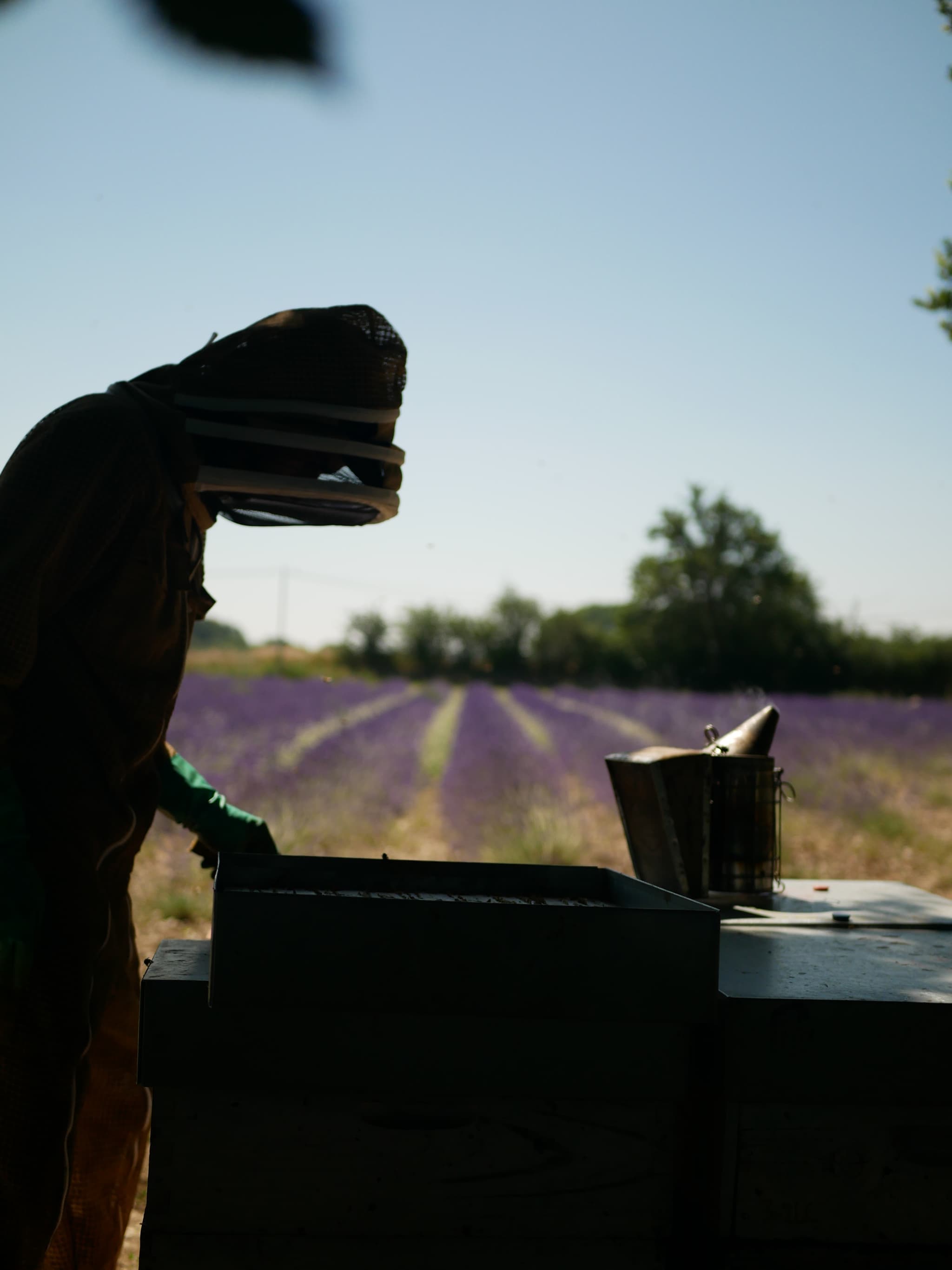 Apiculteur