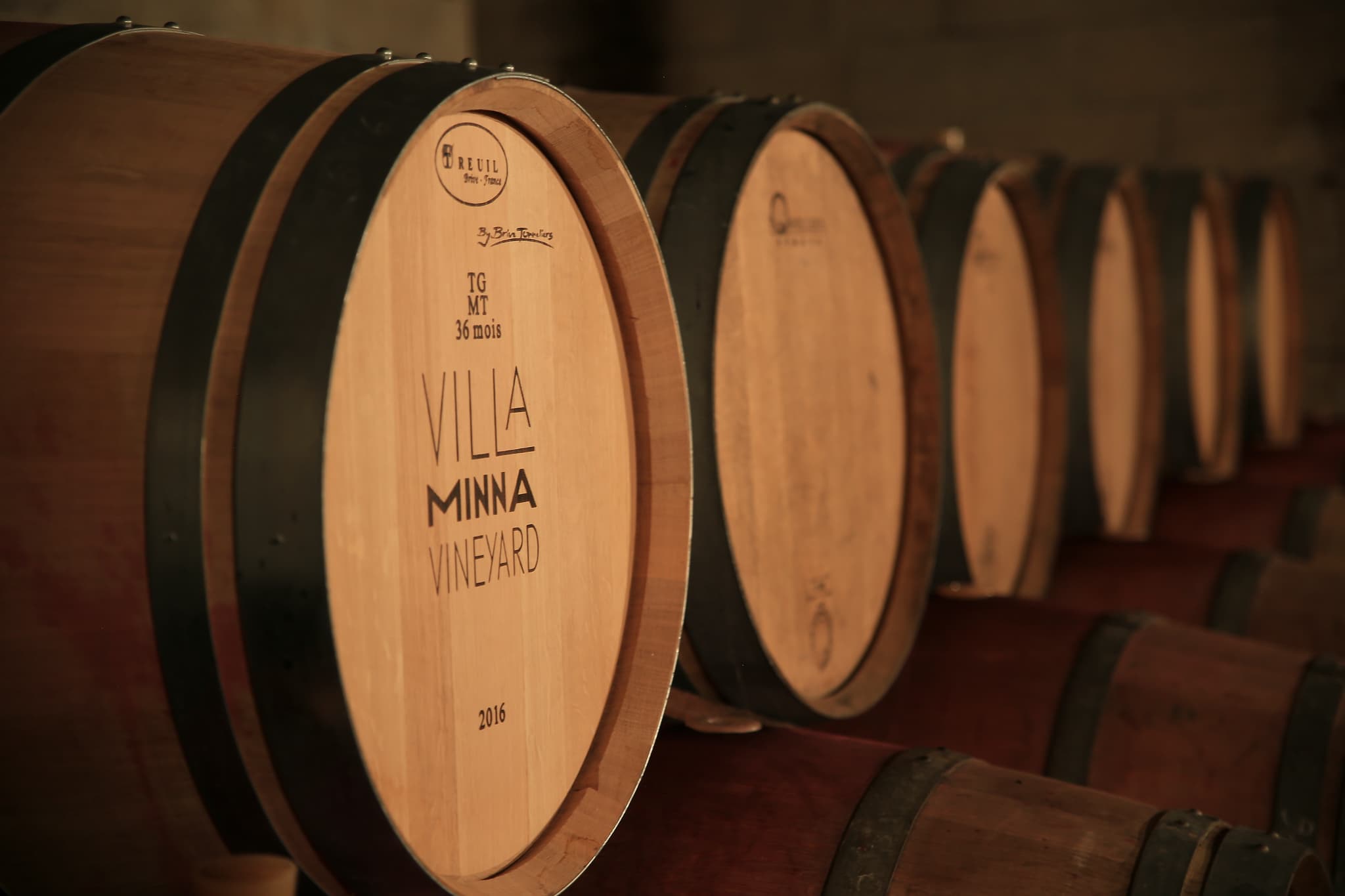 Villa Minna Vineyard