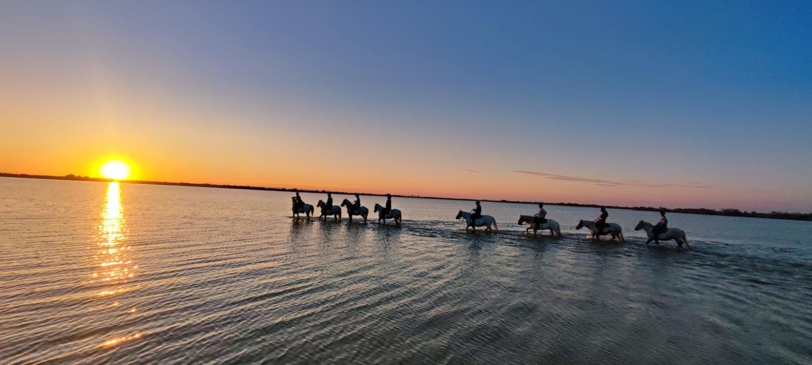 L'Oasis Camarguaise_Saintes-Maries-de-la-Mer