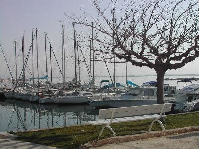 13T4014743_1_WEB.jpg