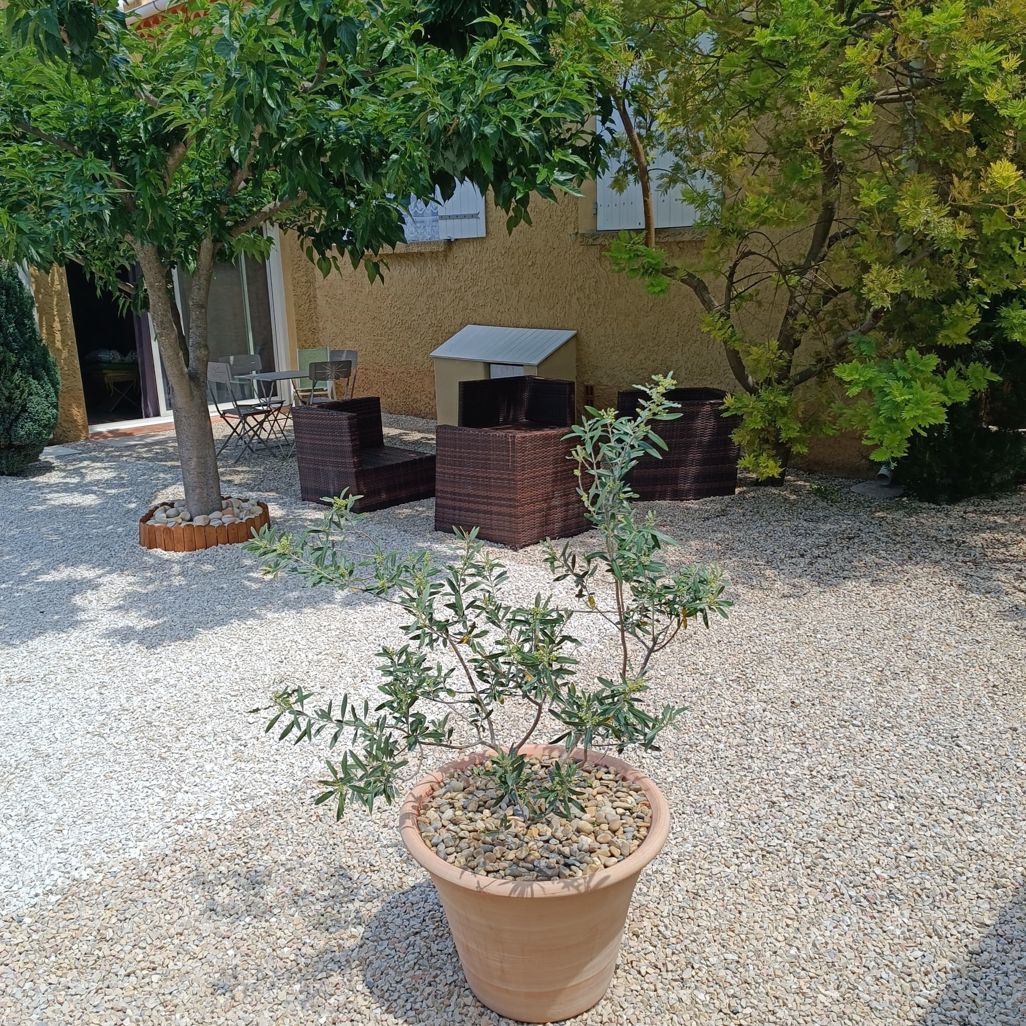 La Mezzanette