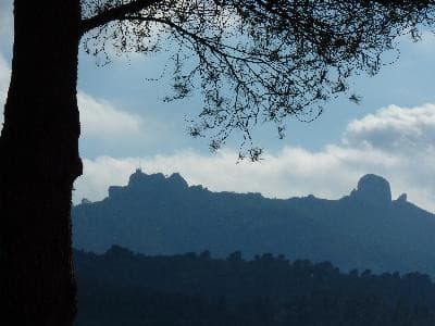 13VIS001064_3_WEB.jpg