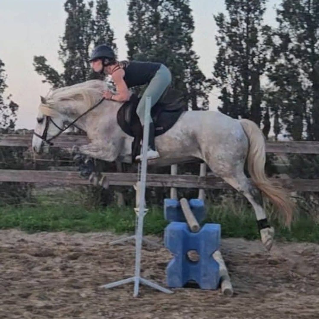 L'Oasis Camarguaise_Saintes-Maries-de-la-Mer
