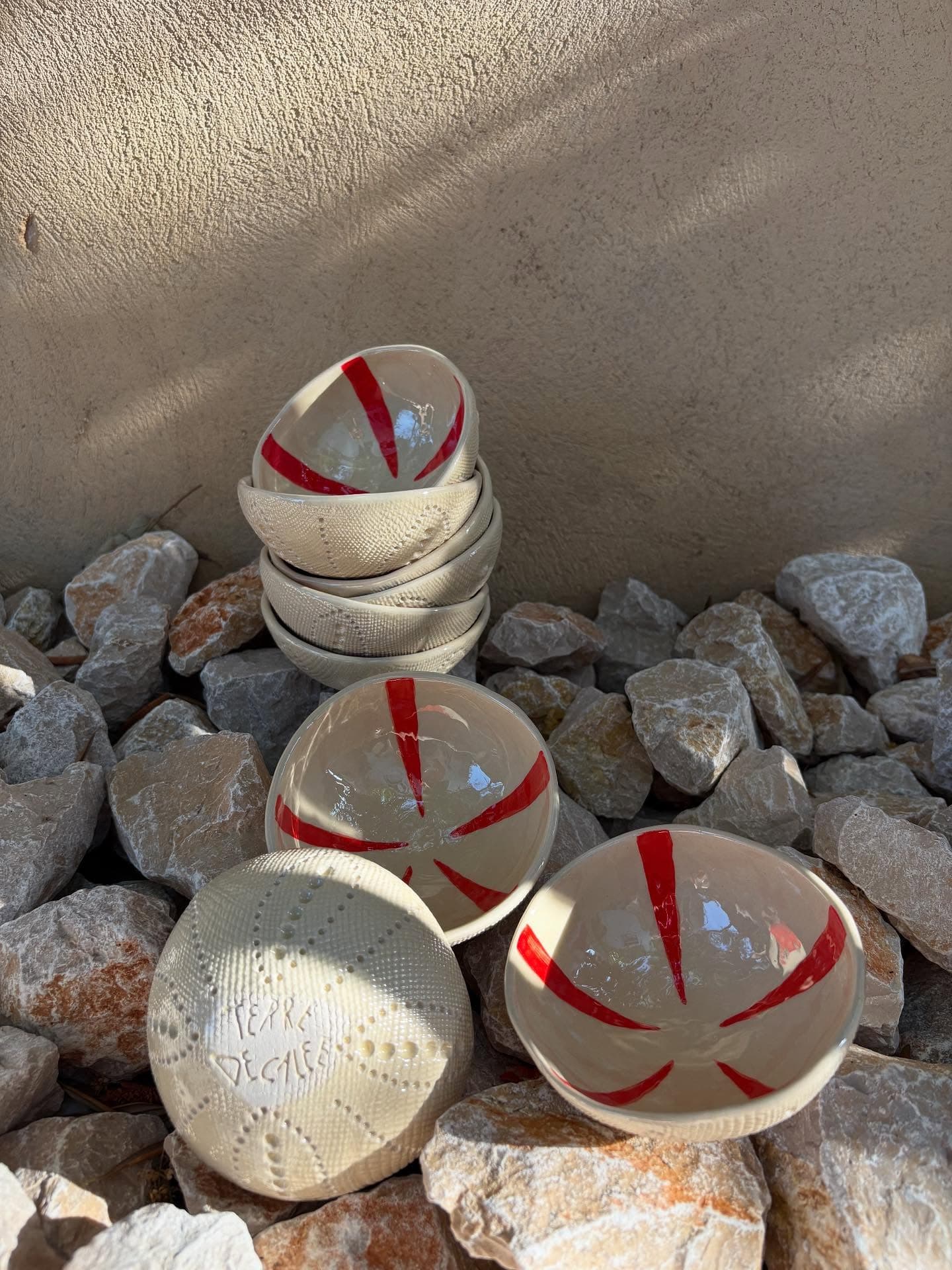 Terre Décalée - Patricia Cohen_Aubagne