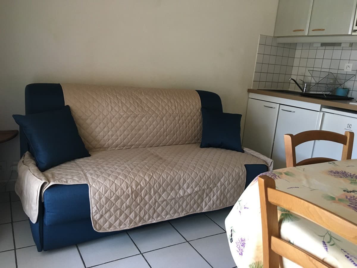 Le Murier Platane Mouries_sejour