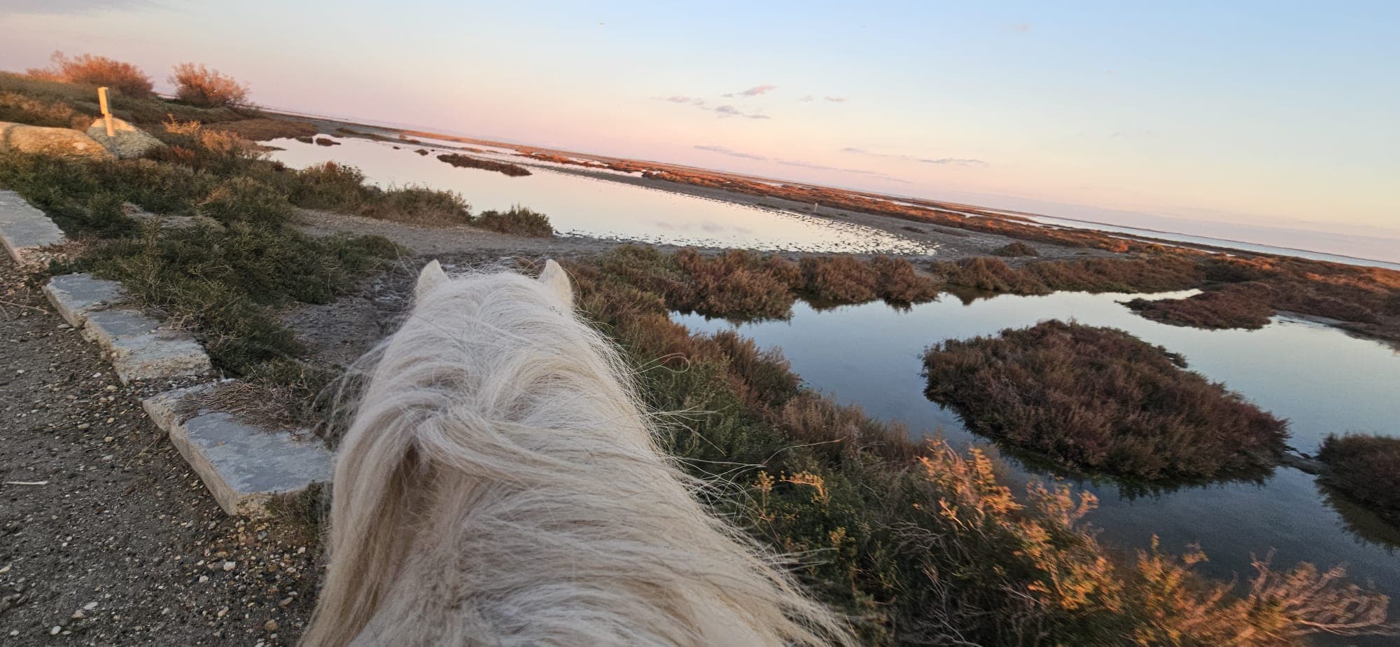 L'Oasis Camarguaise_Saintes-Maries-de-la-Mer