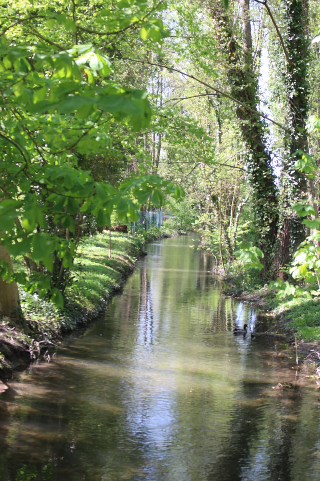 Flânerie - Le Jardin Mediéval de Rachi_Troyes