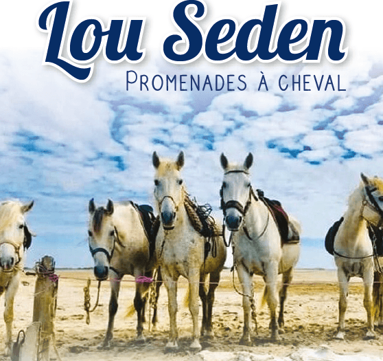 Lou Seden