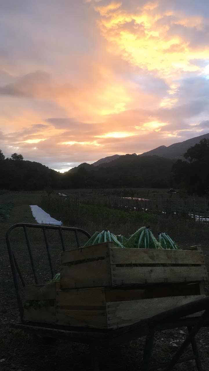 Vue crépuscule