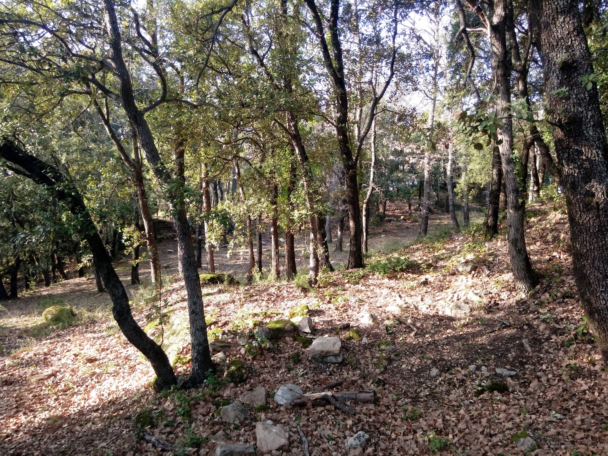 Randonnée "Le Castrum Saint-Michel"
