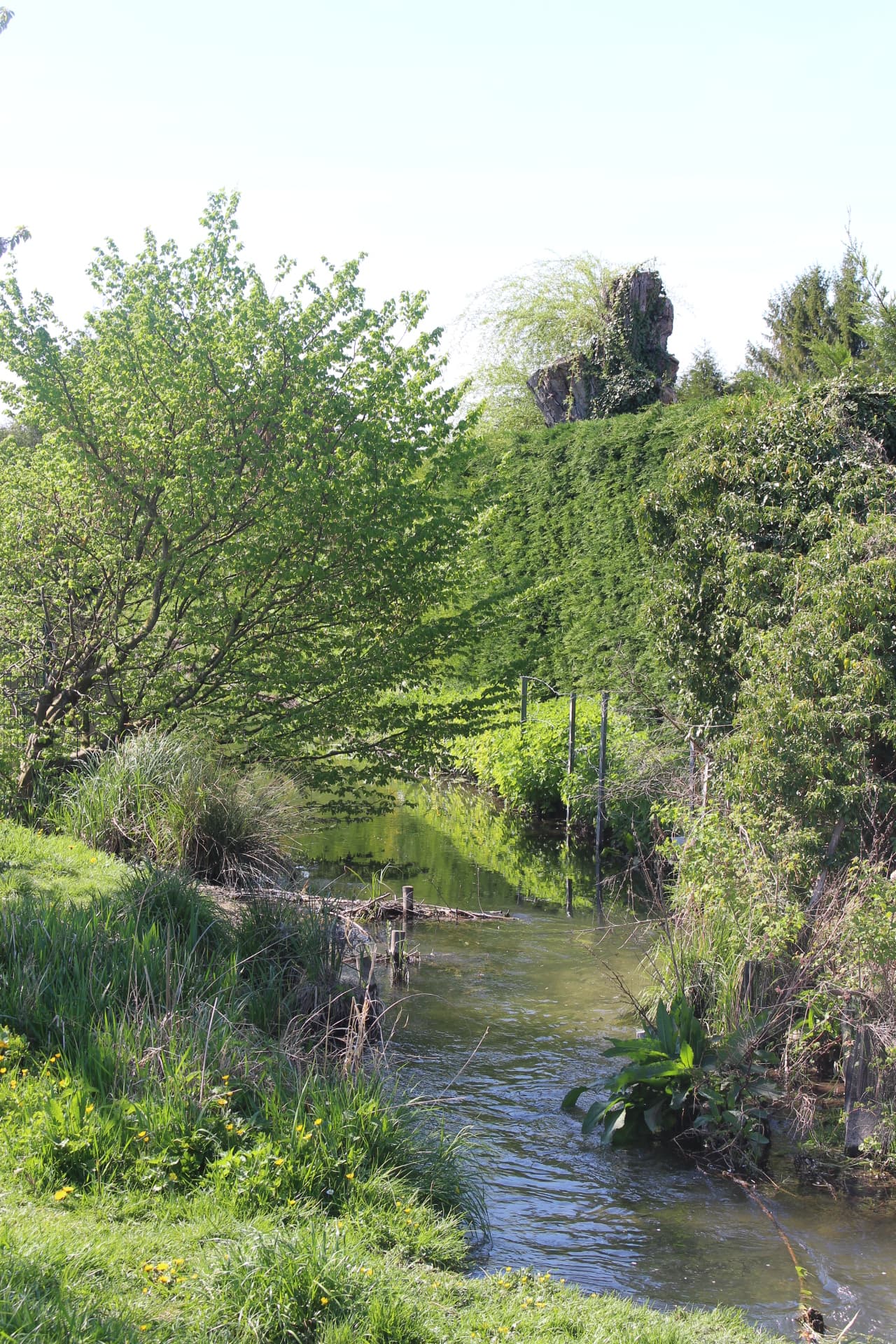 Flânerie - Le Jardin Mediéval de Rachi_Troyes