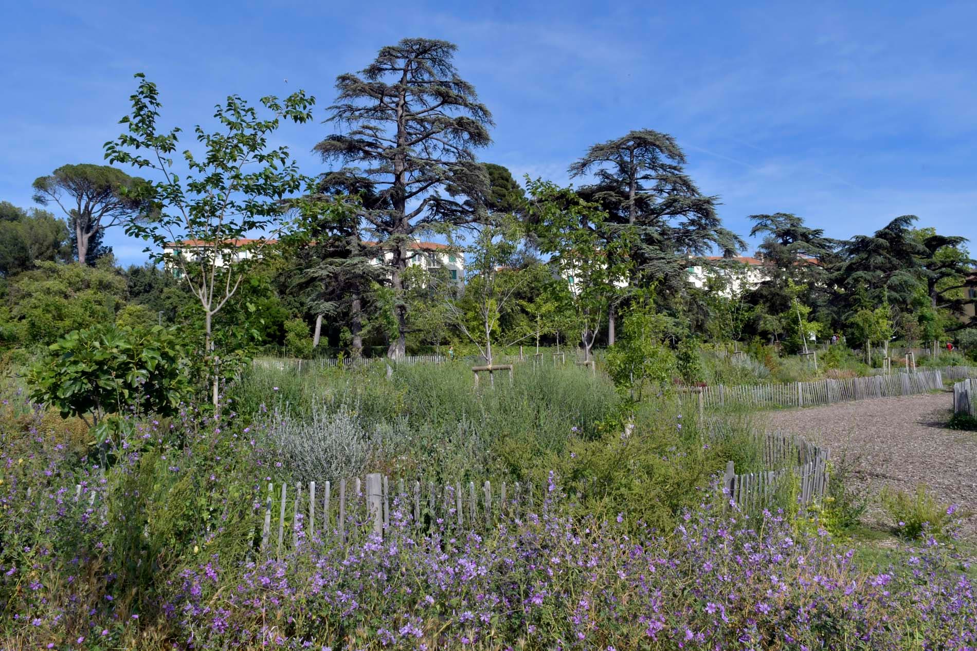 Parc de la Moline - Ville de Marseille