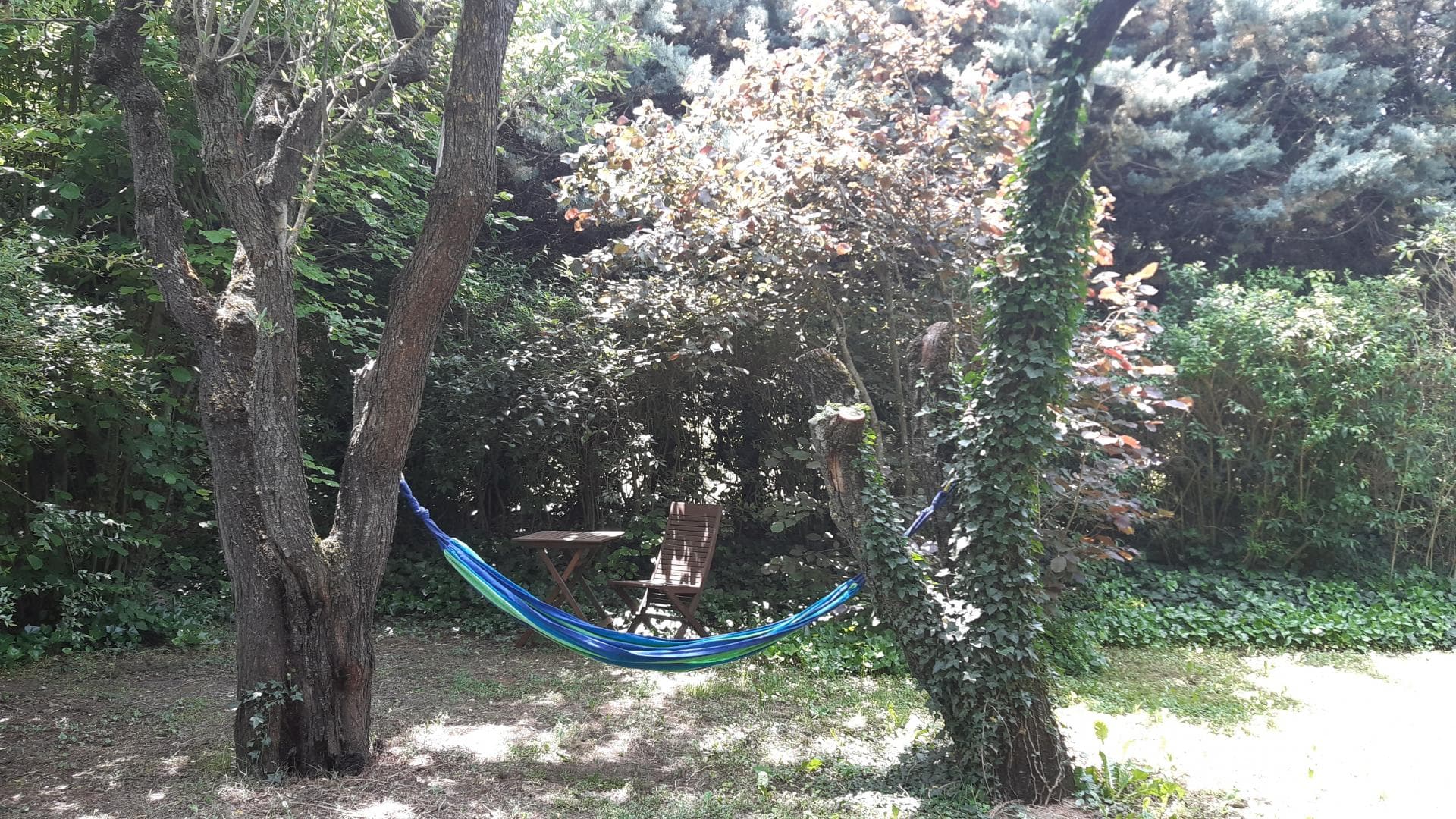 Mas de l'Avani