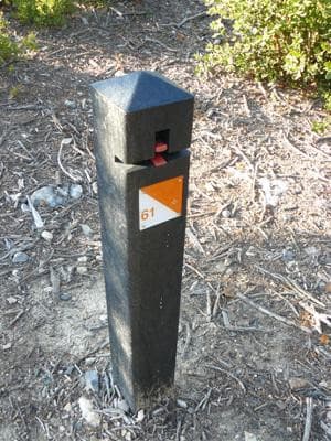 13SP000624_1_WEB.jpg