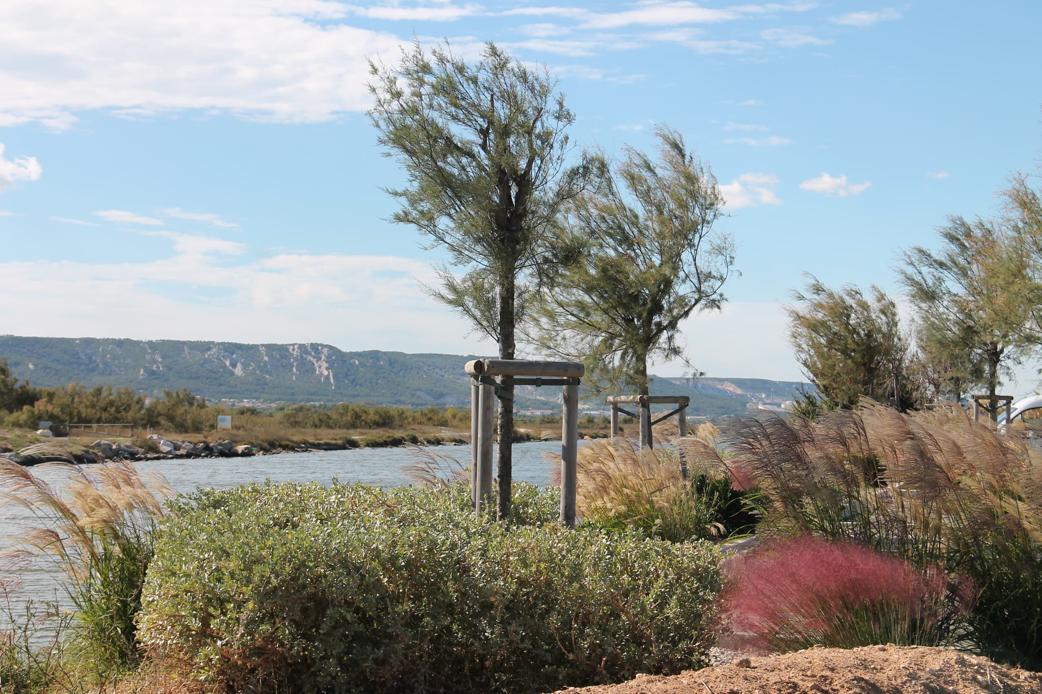 Marignane au fil de l'eau