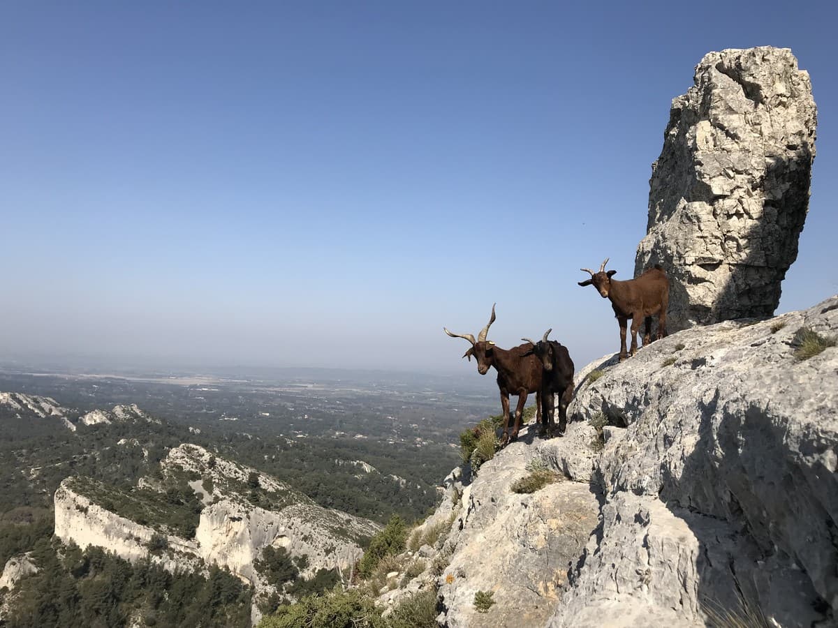 Alpilles Aventure