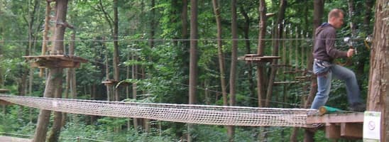 grimpobranches.jpg