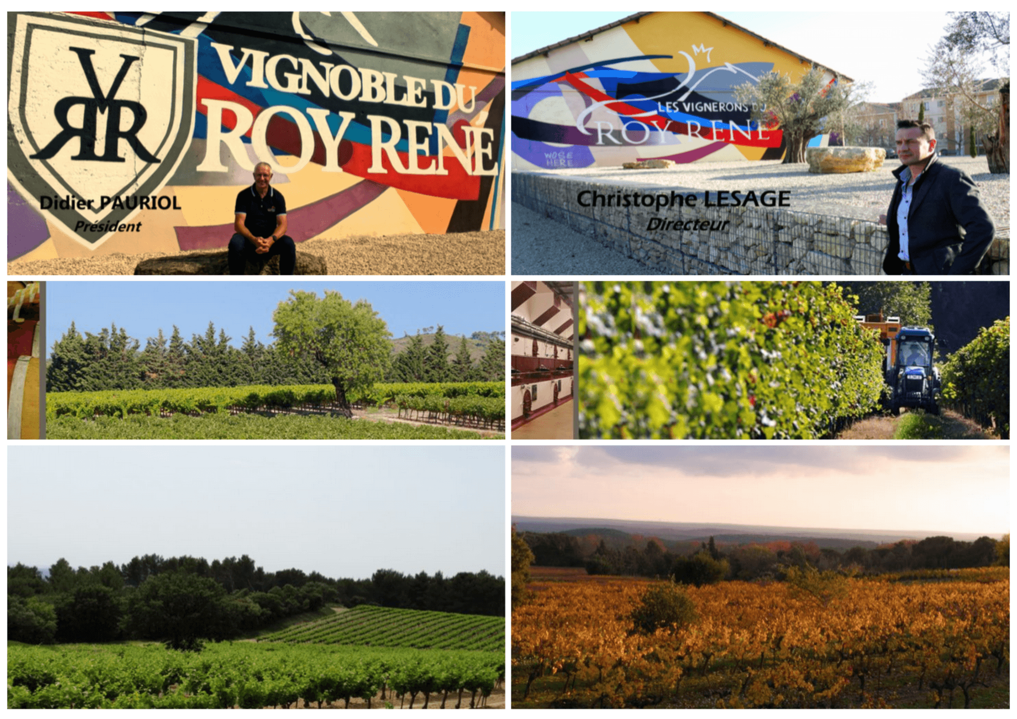 Sentier vigneron du Vignoble du Roy René_Lambesc