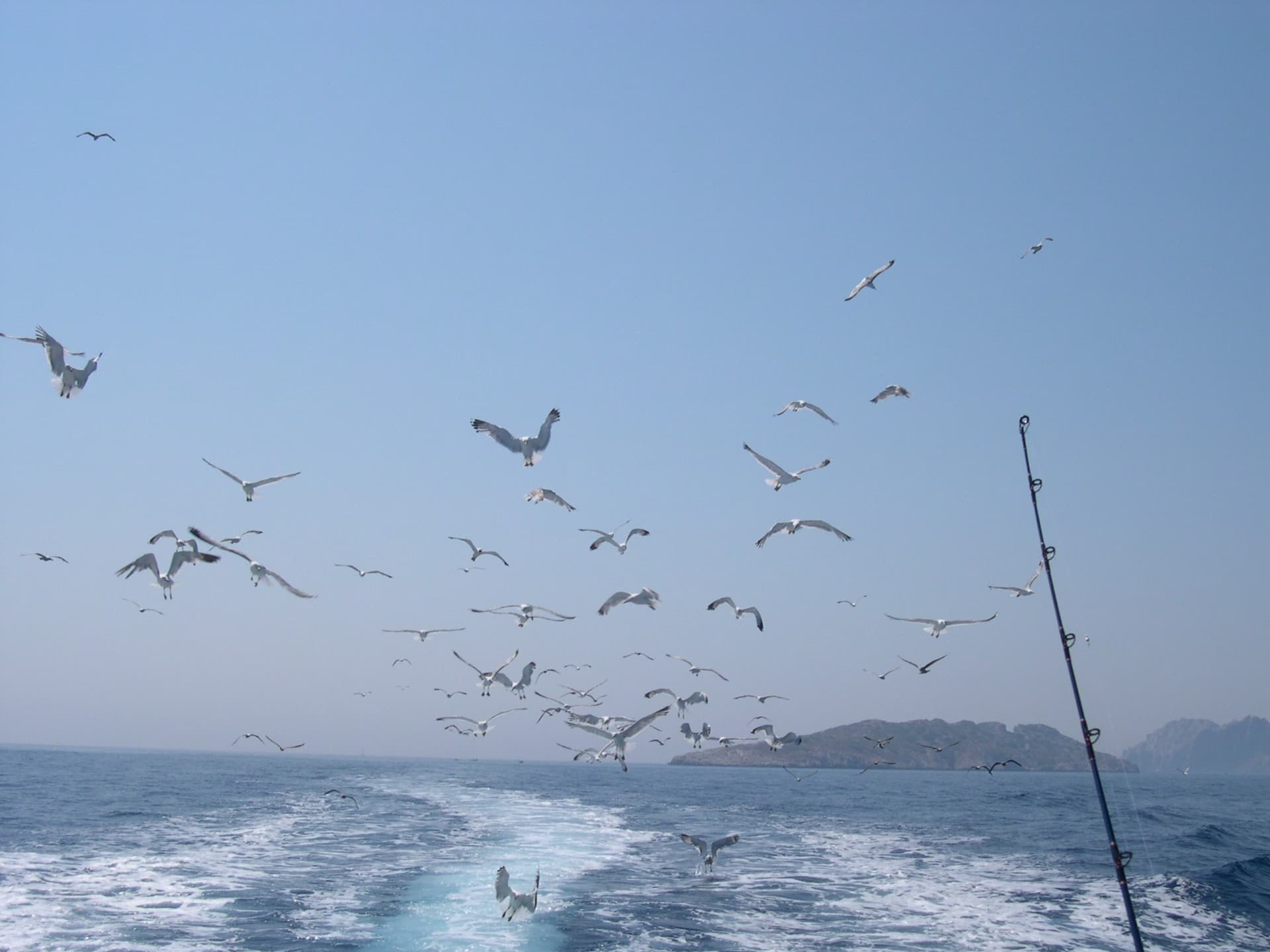 13SP001389_10_HD.jpg