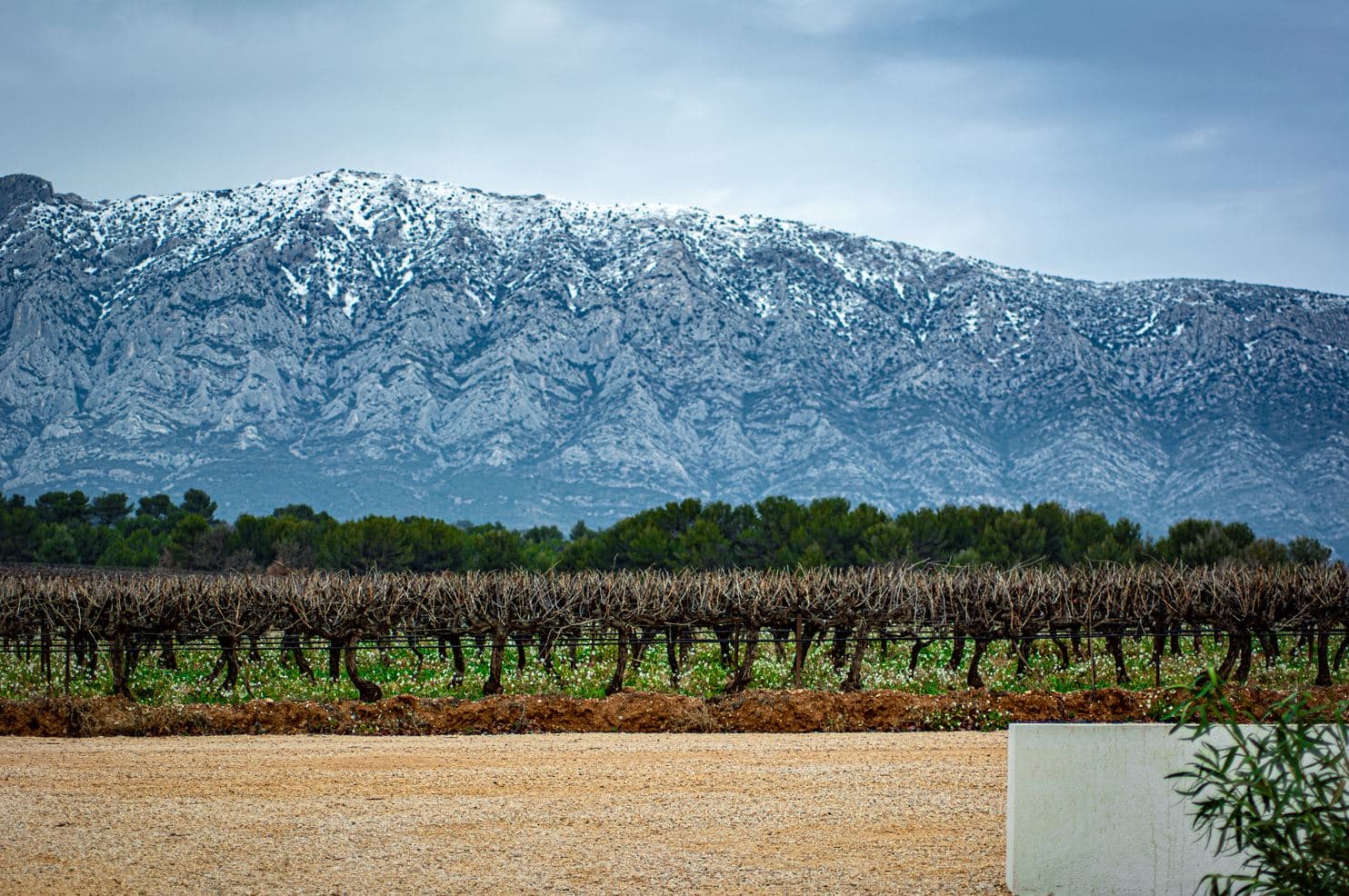 Domaine Jas Monges