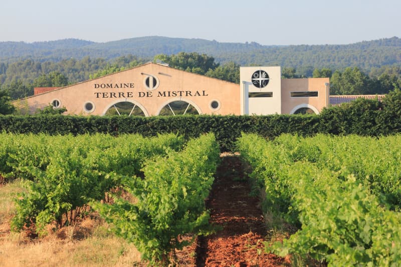 Visite commentée du vignoble Terre de Mistral, suivie d'une dégustation de vin