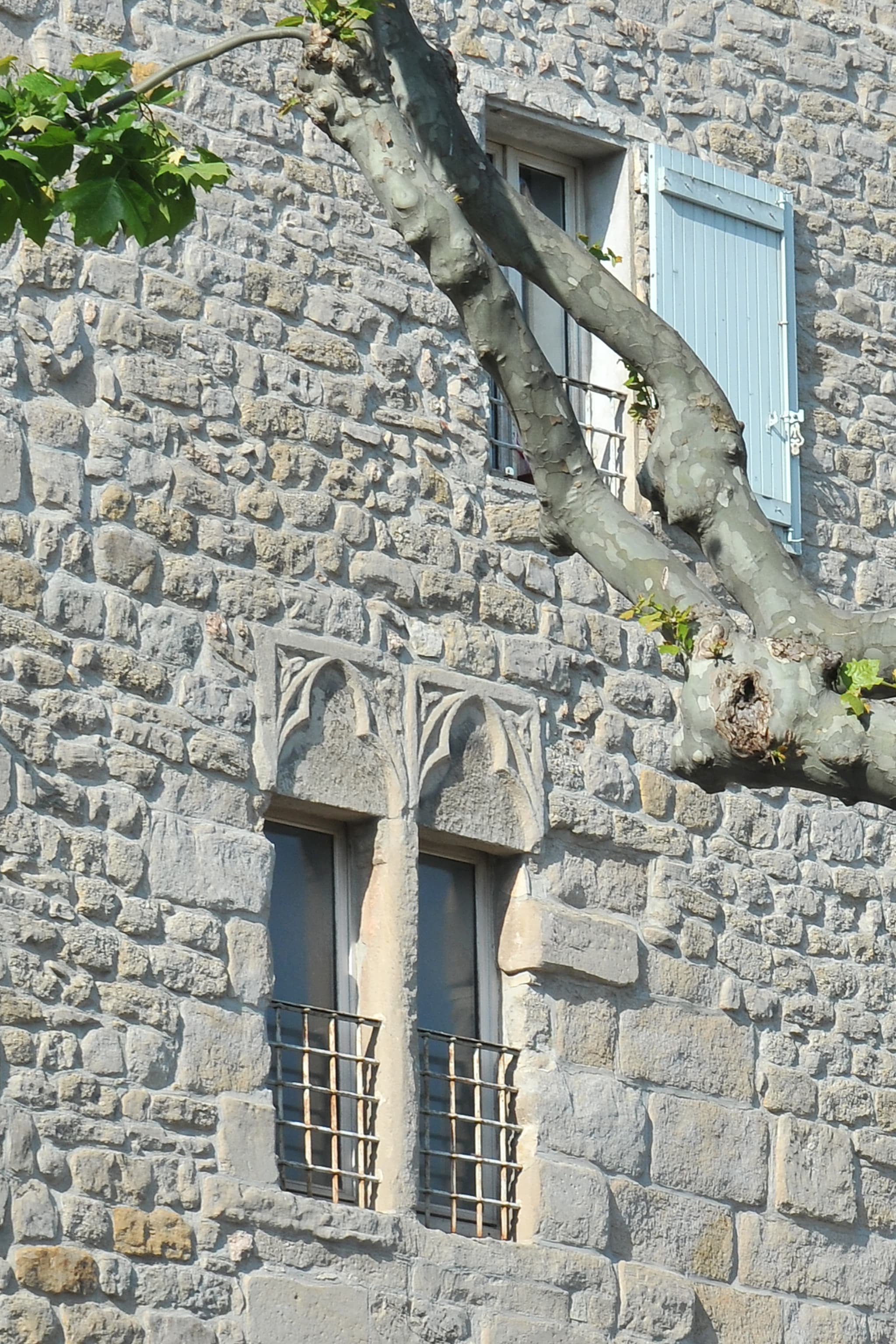 Studium Papal