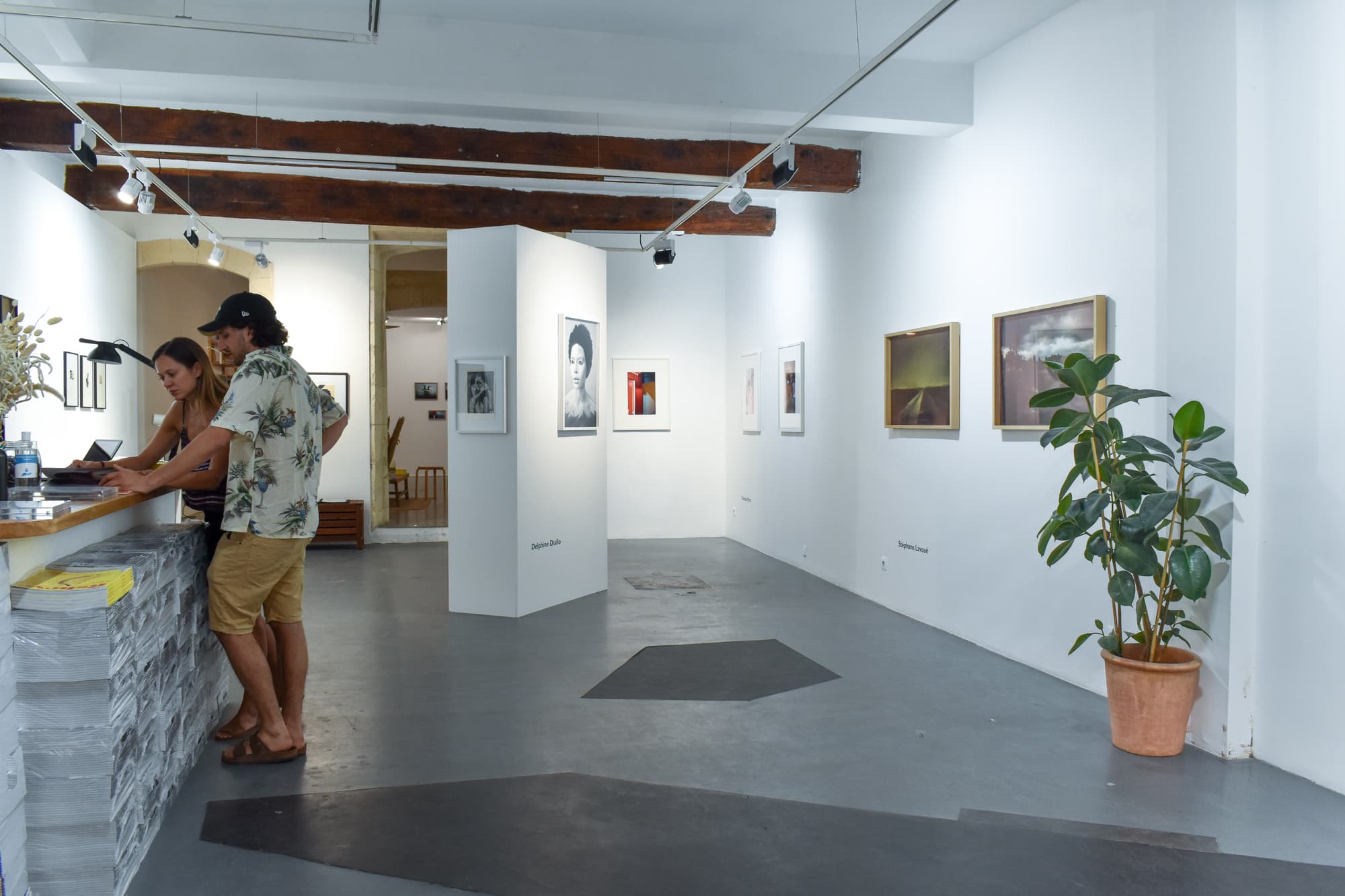 Fisheye Gallery