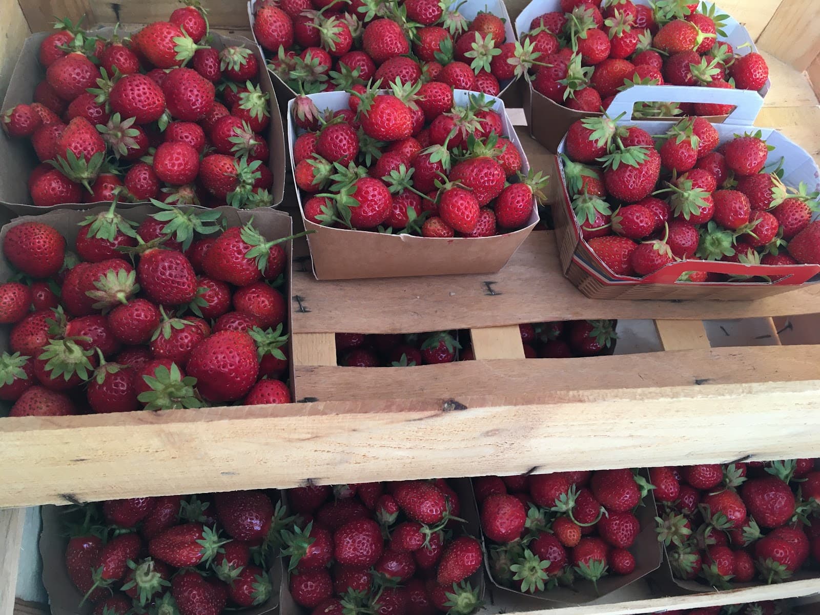 Fraises