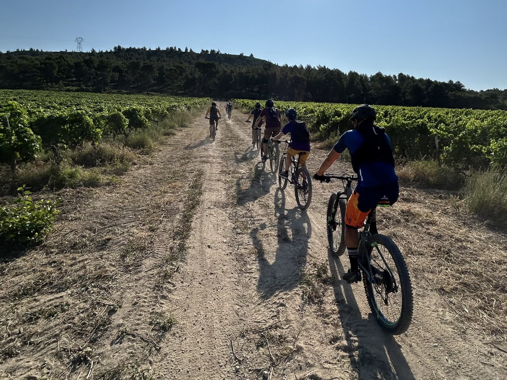 Unusual Ride Guide touristique à vélo à Aureille Vélos sur un chemin