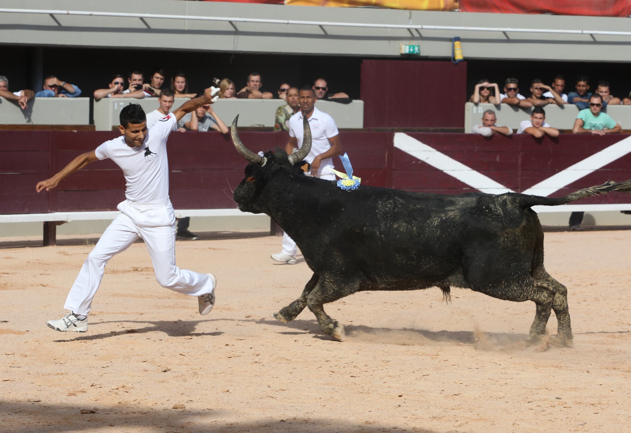 Journée traditionnelle du Toro club Istréen