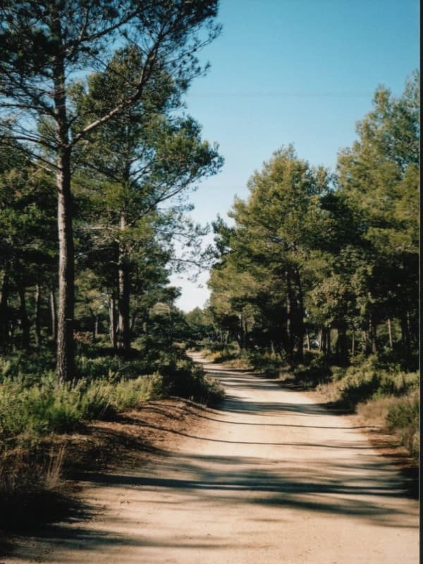 La jonction du Vallon du Pin