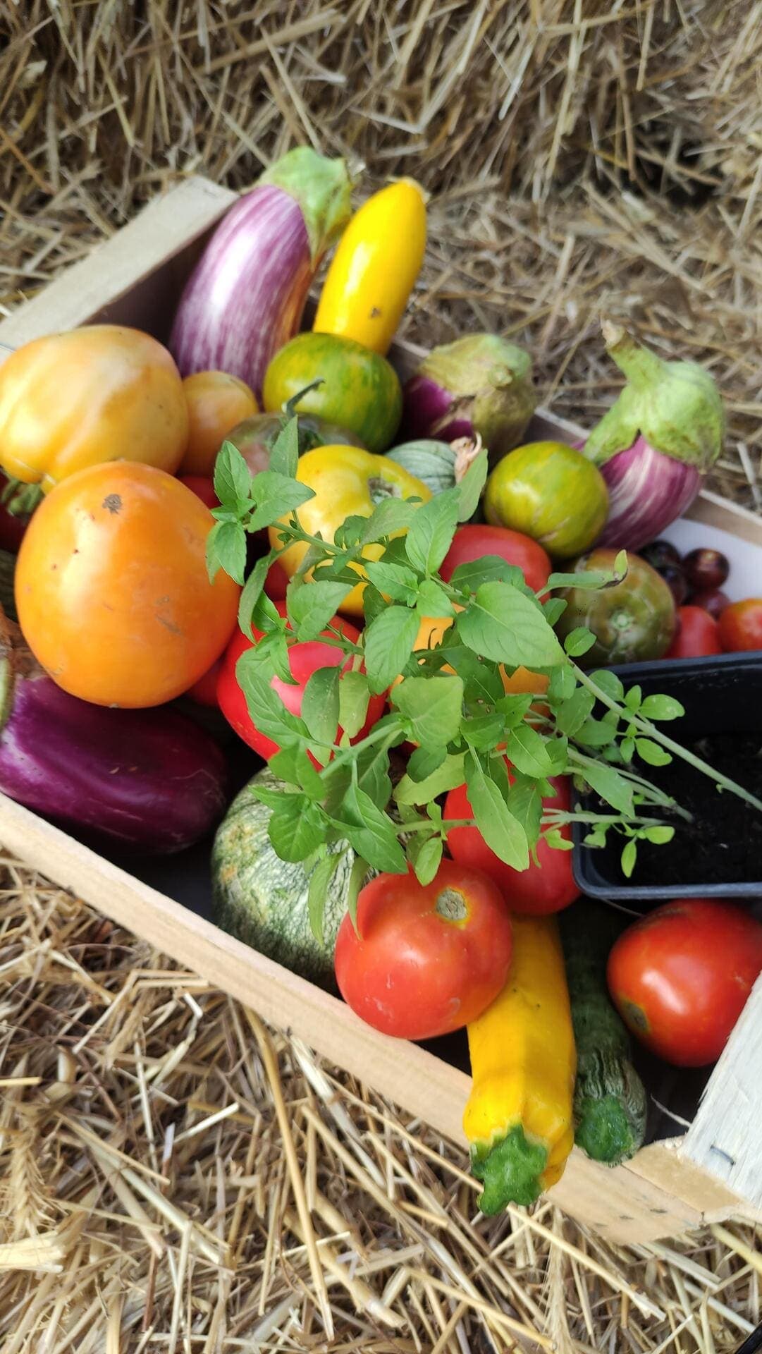 Ferme l'intemporel - Jardin des Cheylans_Martigues