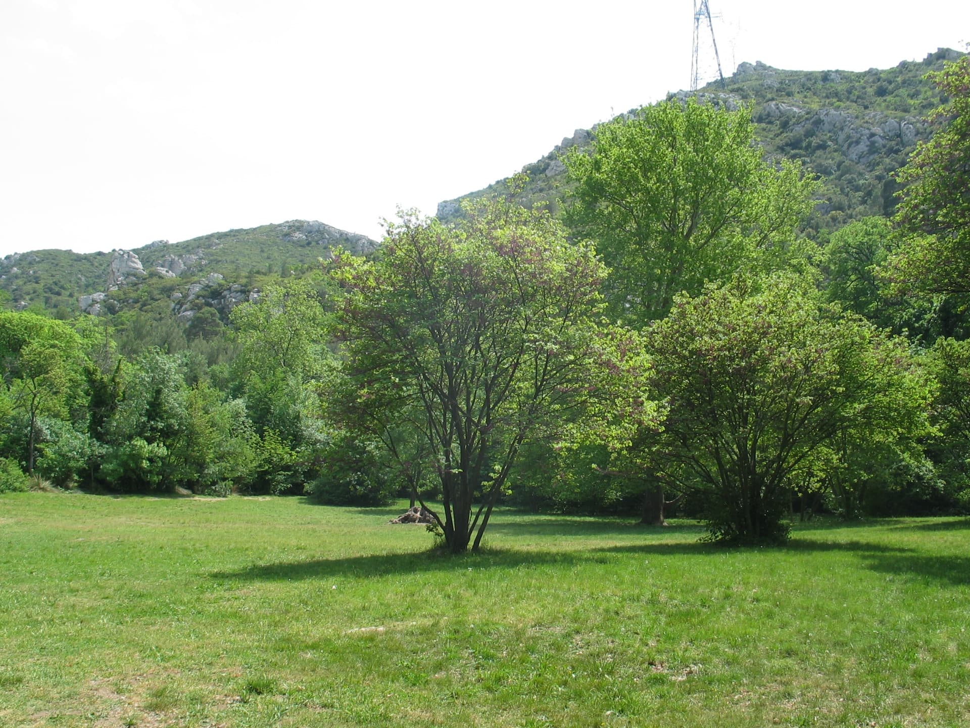 13SNA000003_1_HD.jpg