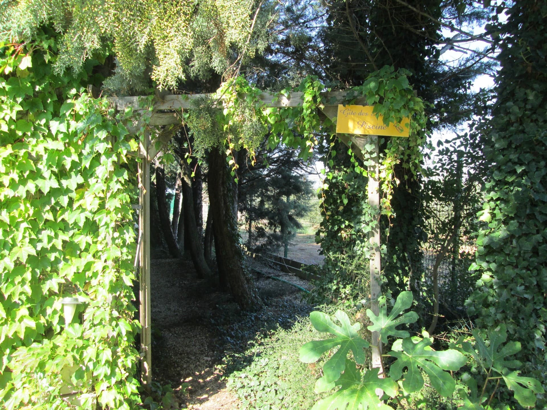 Chemin du plan d'eau