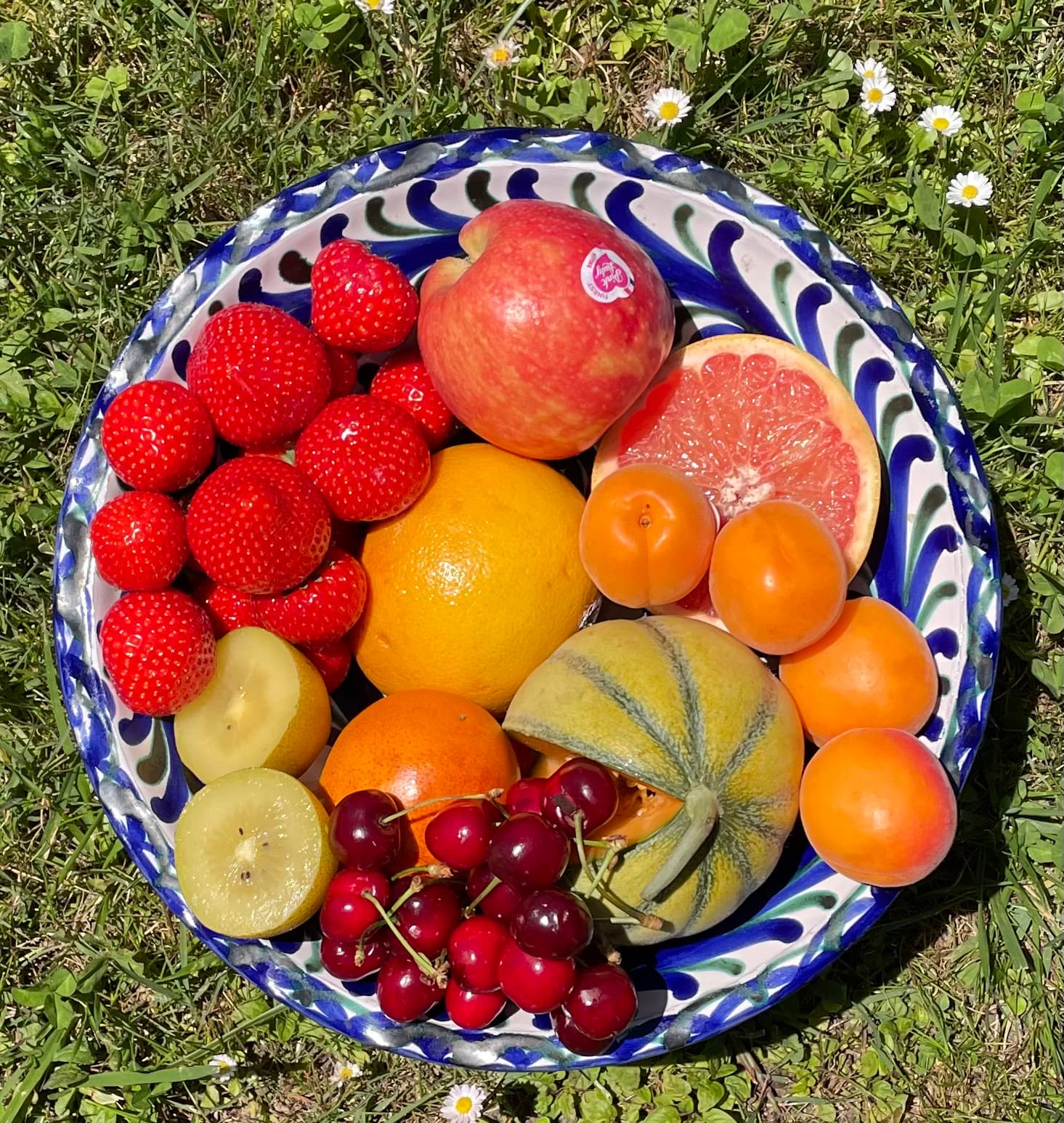 Le jardin d'Ilona