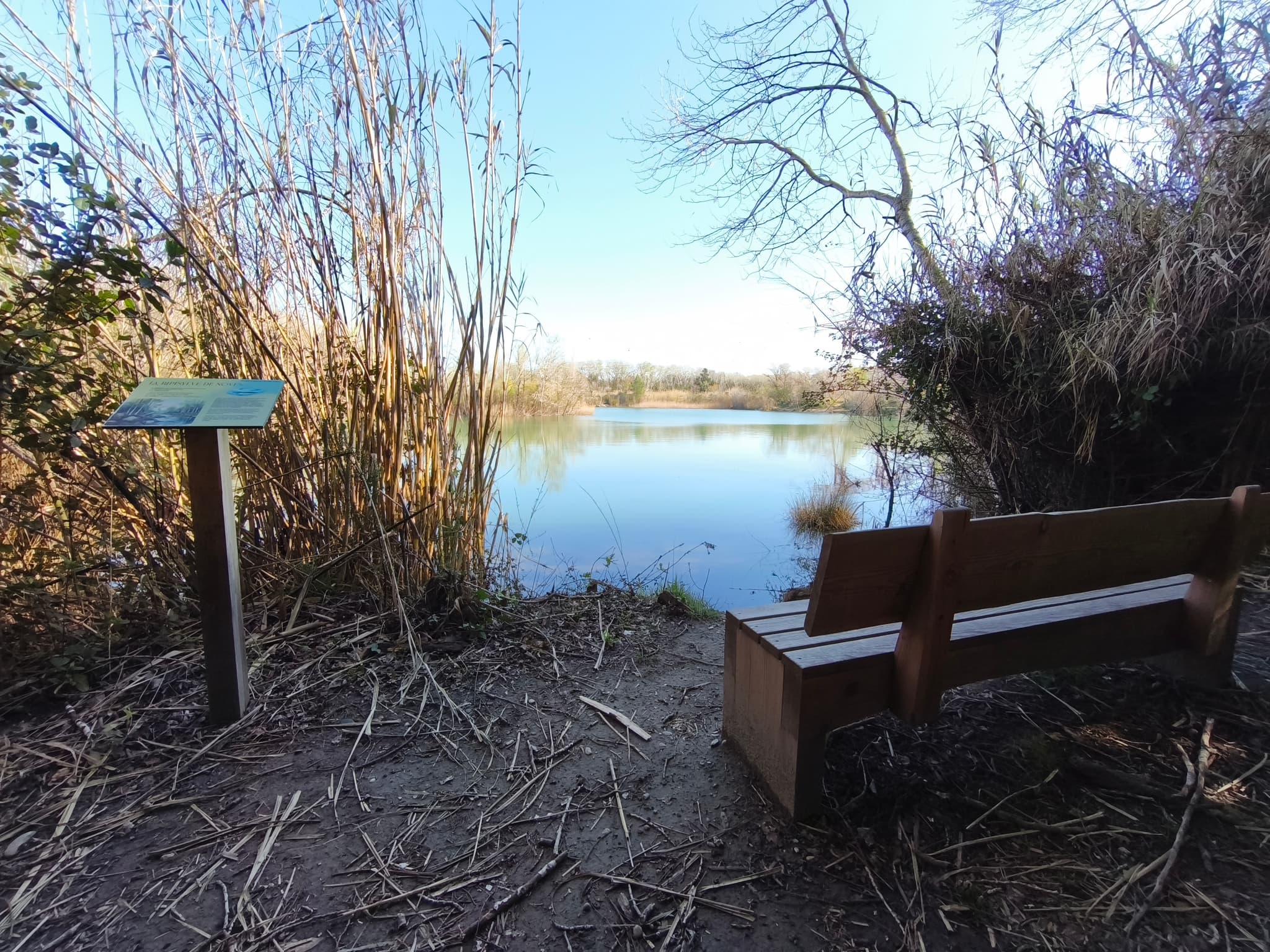Aire de pique-nique du lac des Iscles_Noves