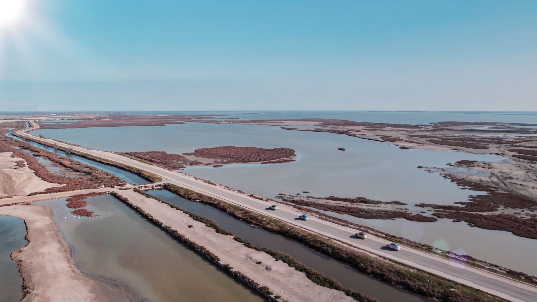 Camargue Safari Tours