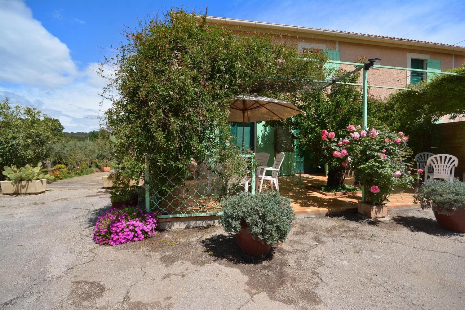 La Berruguette