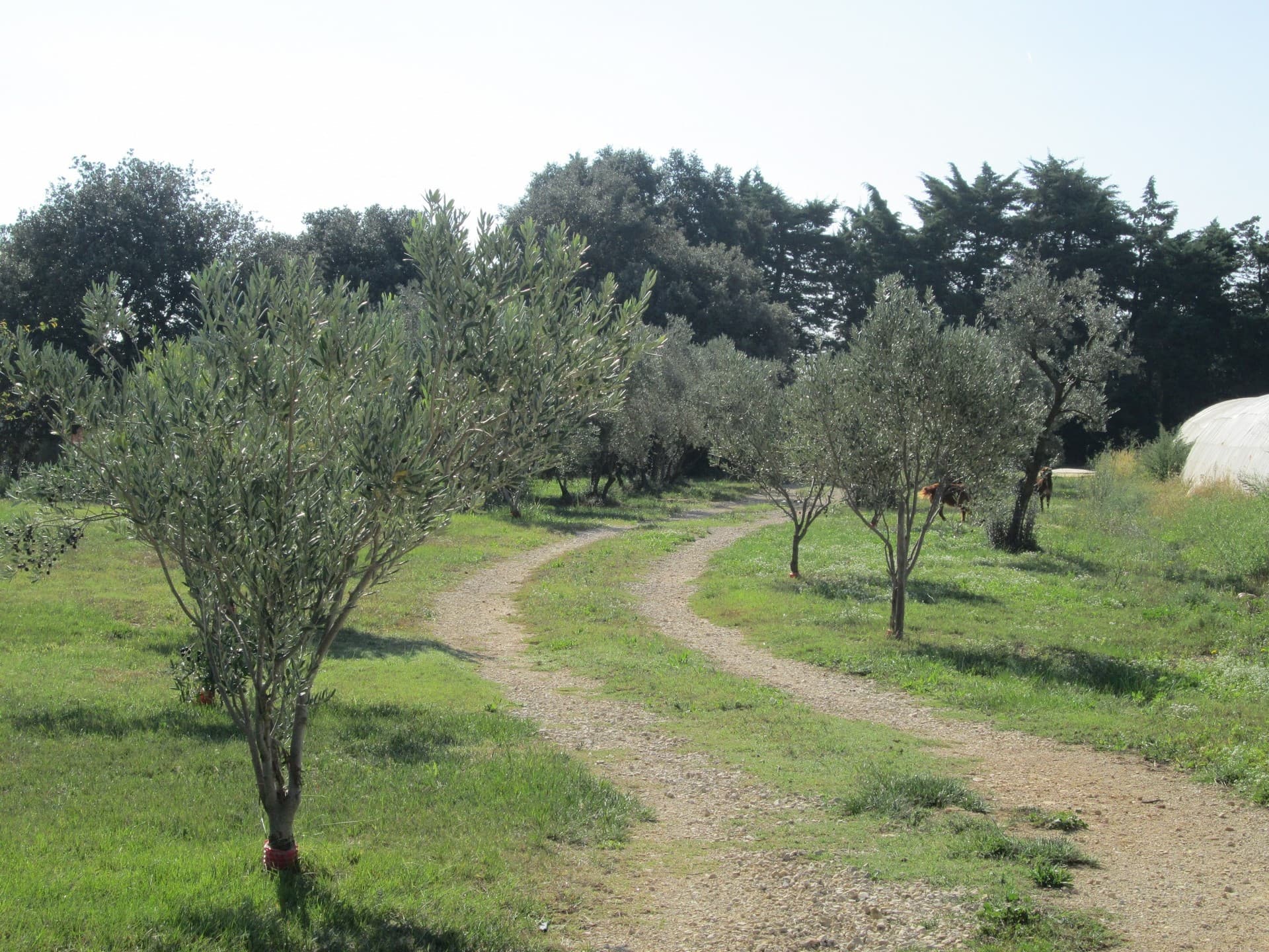 Chemin privé pour le gite