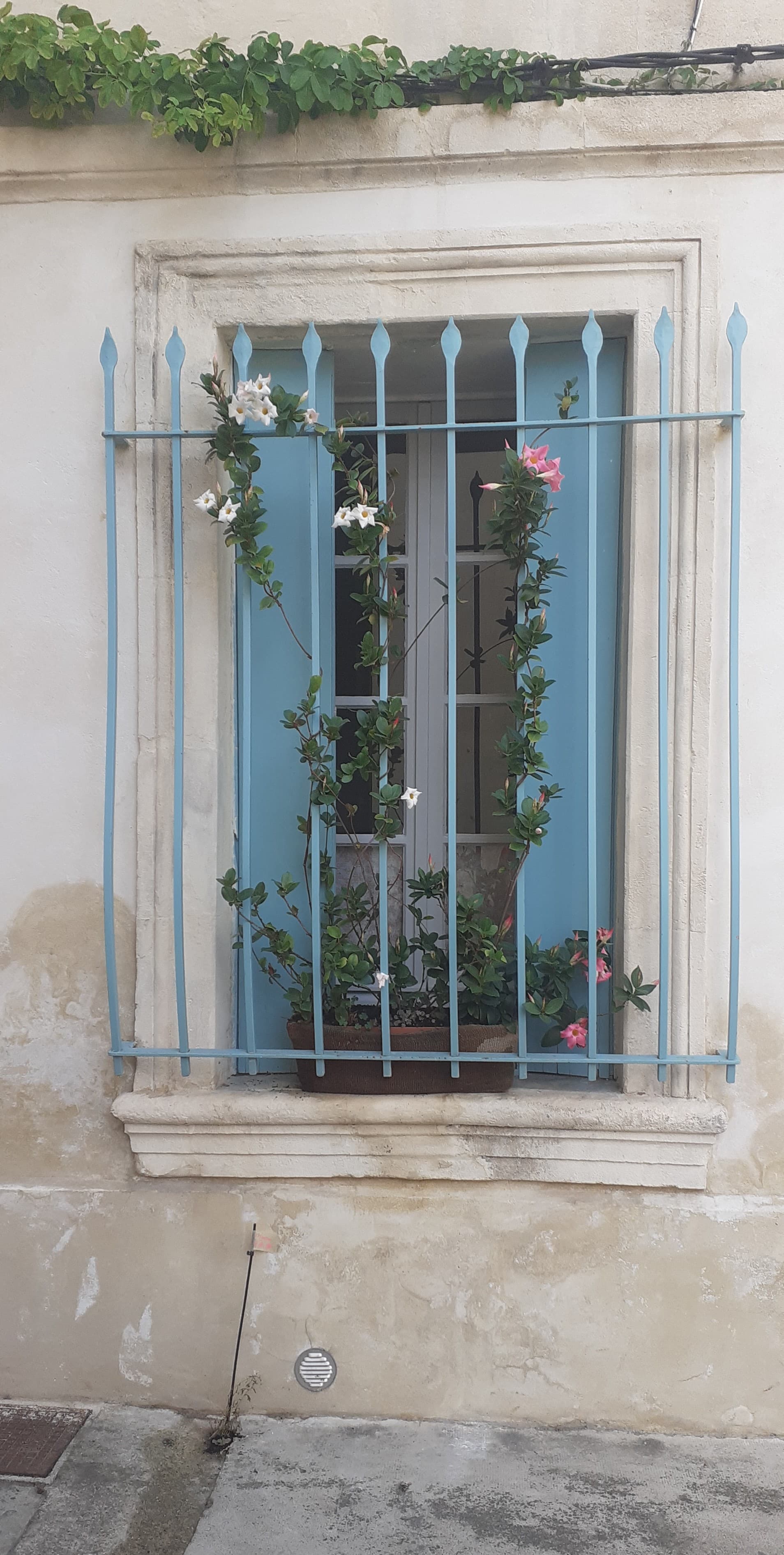 Au coin de la Roquette 2_Arles