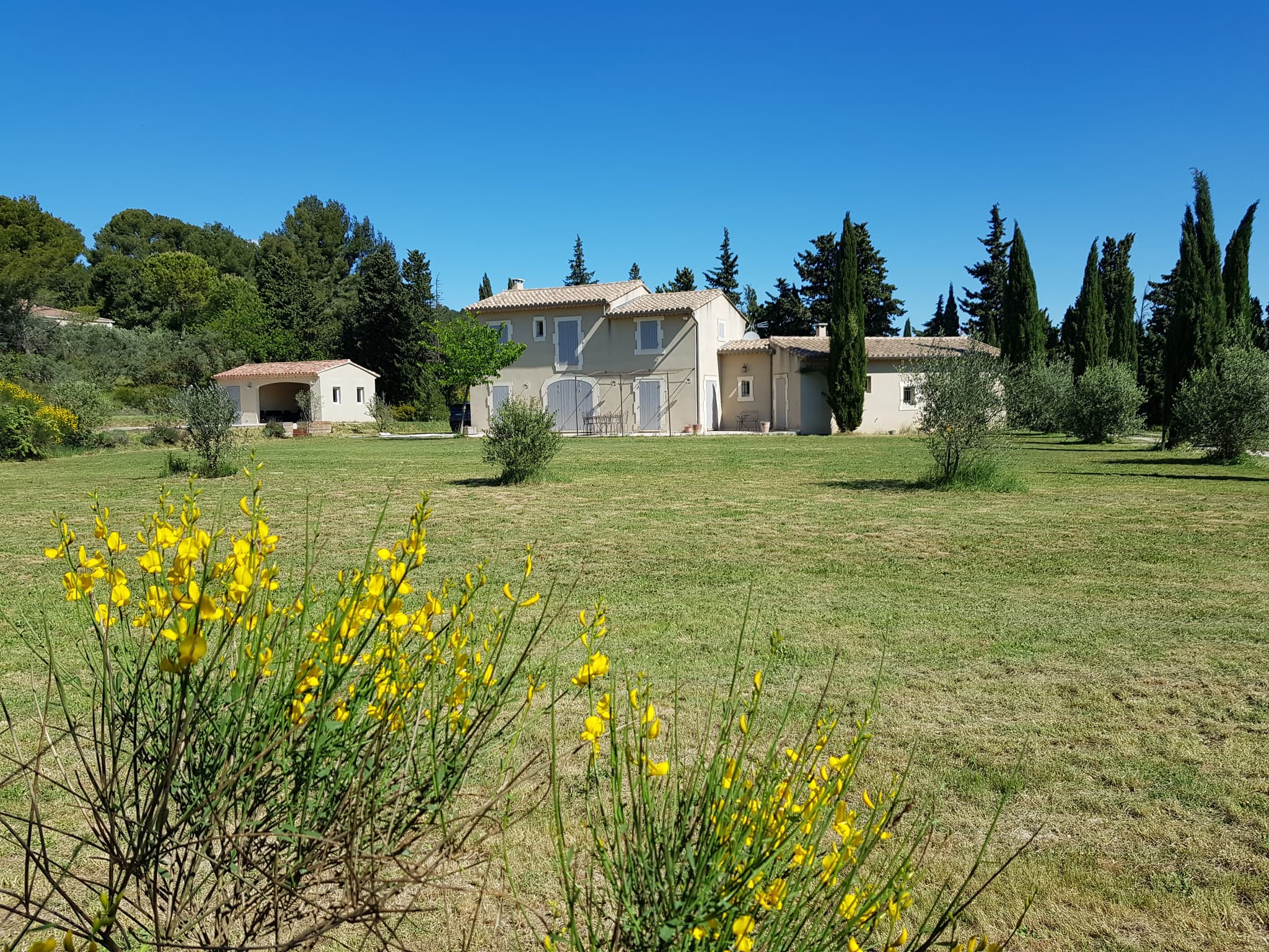 La Coccinelle d'Emilie