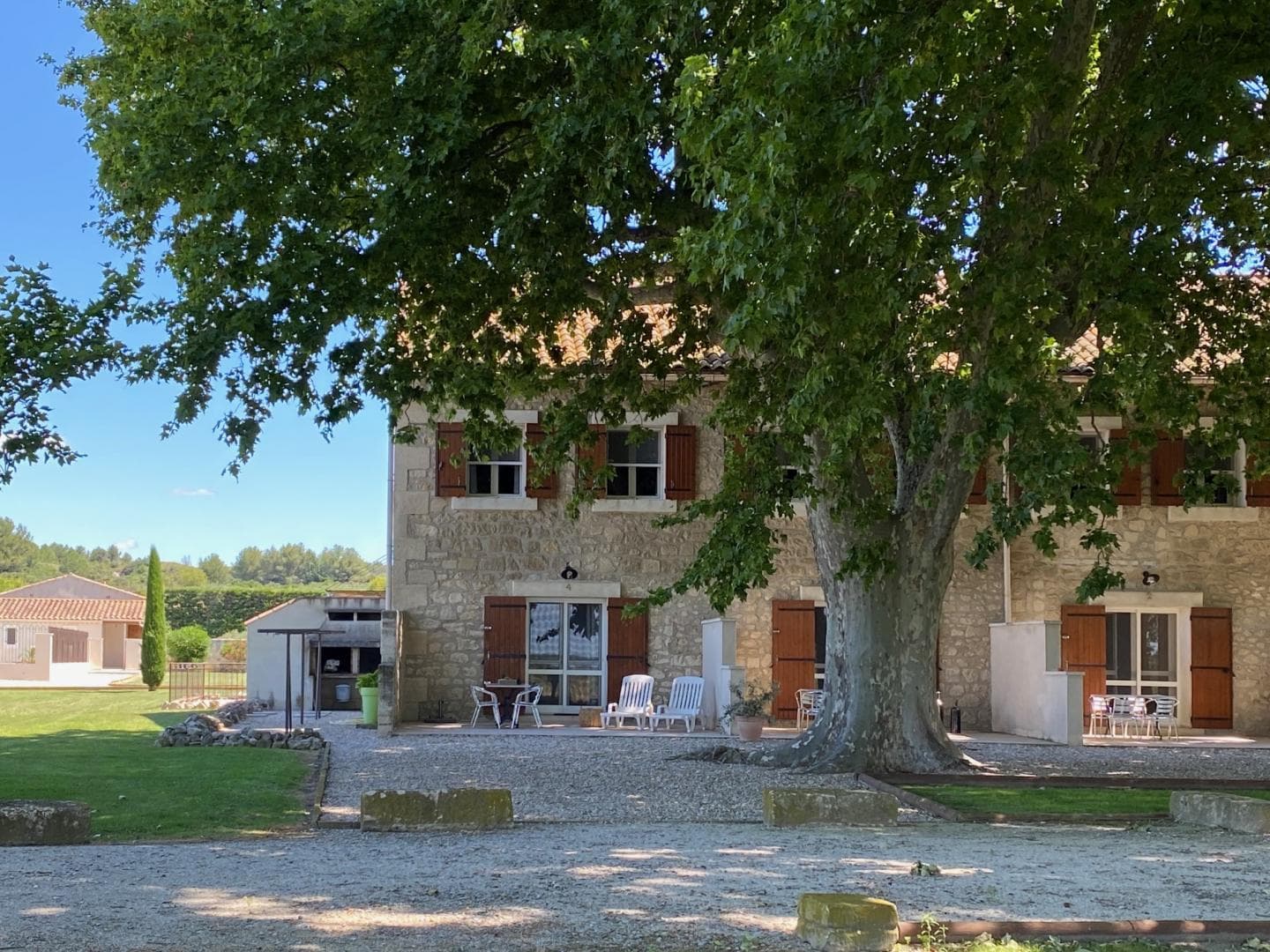 Lavande