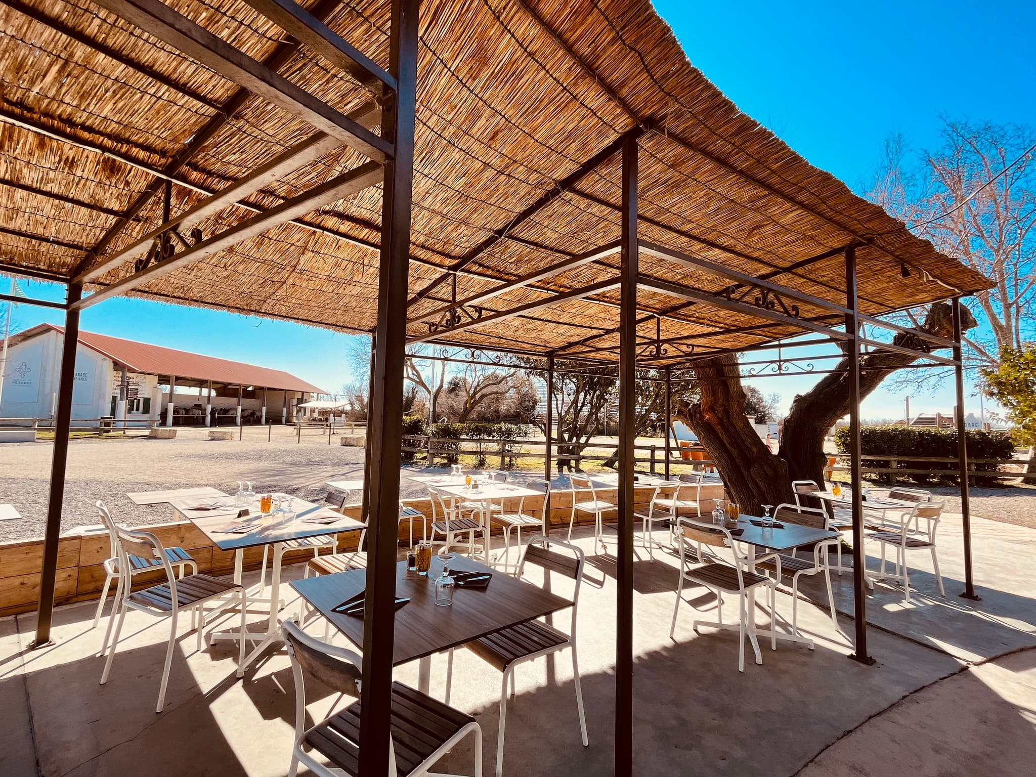 la terrasse de la Bergerie de Méjanes