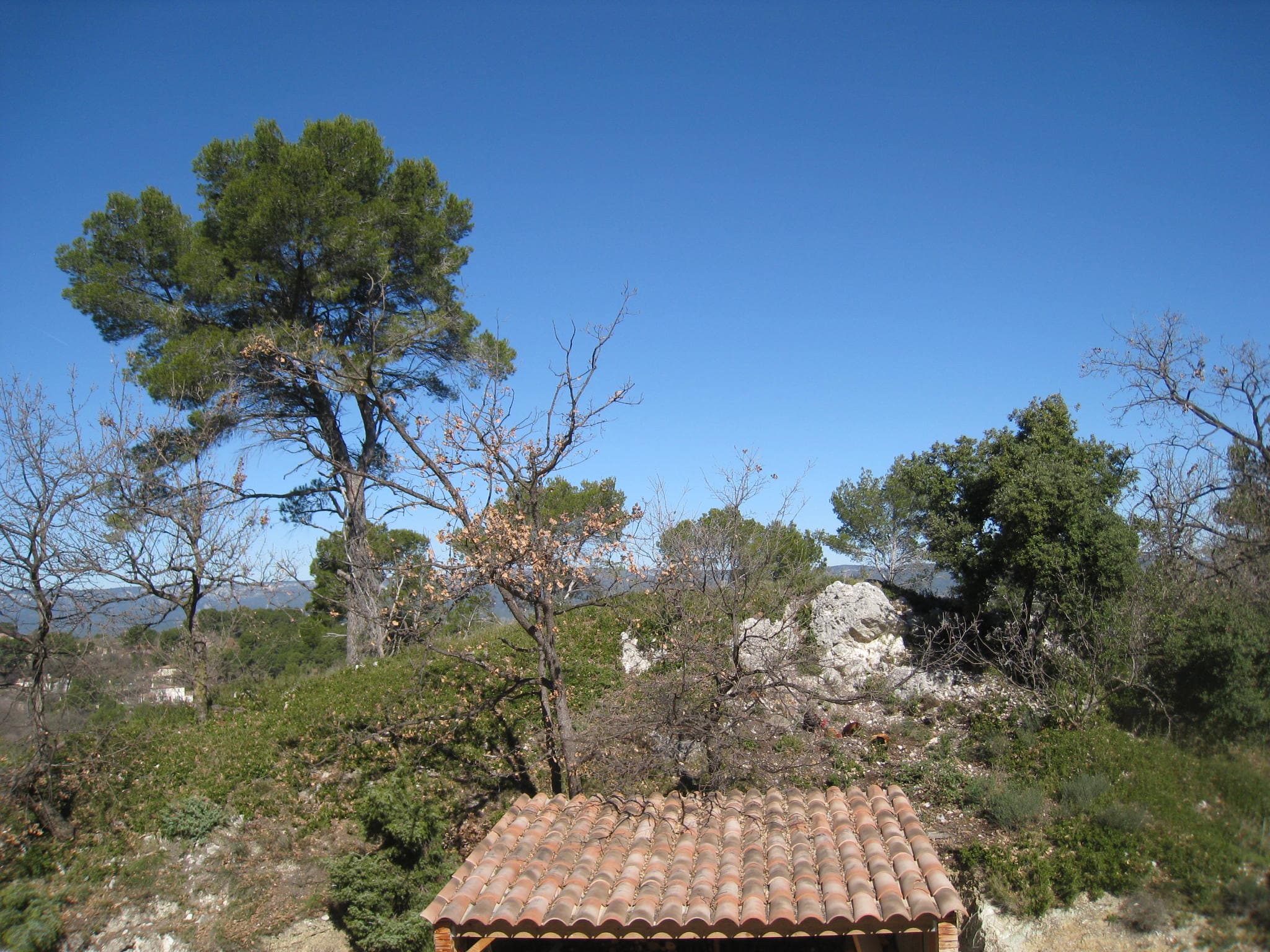 Villa des écureuils
