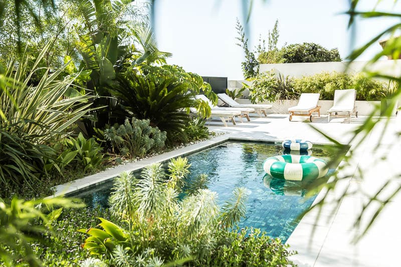 Jardin exotique piscine