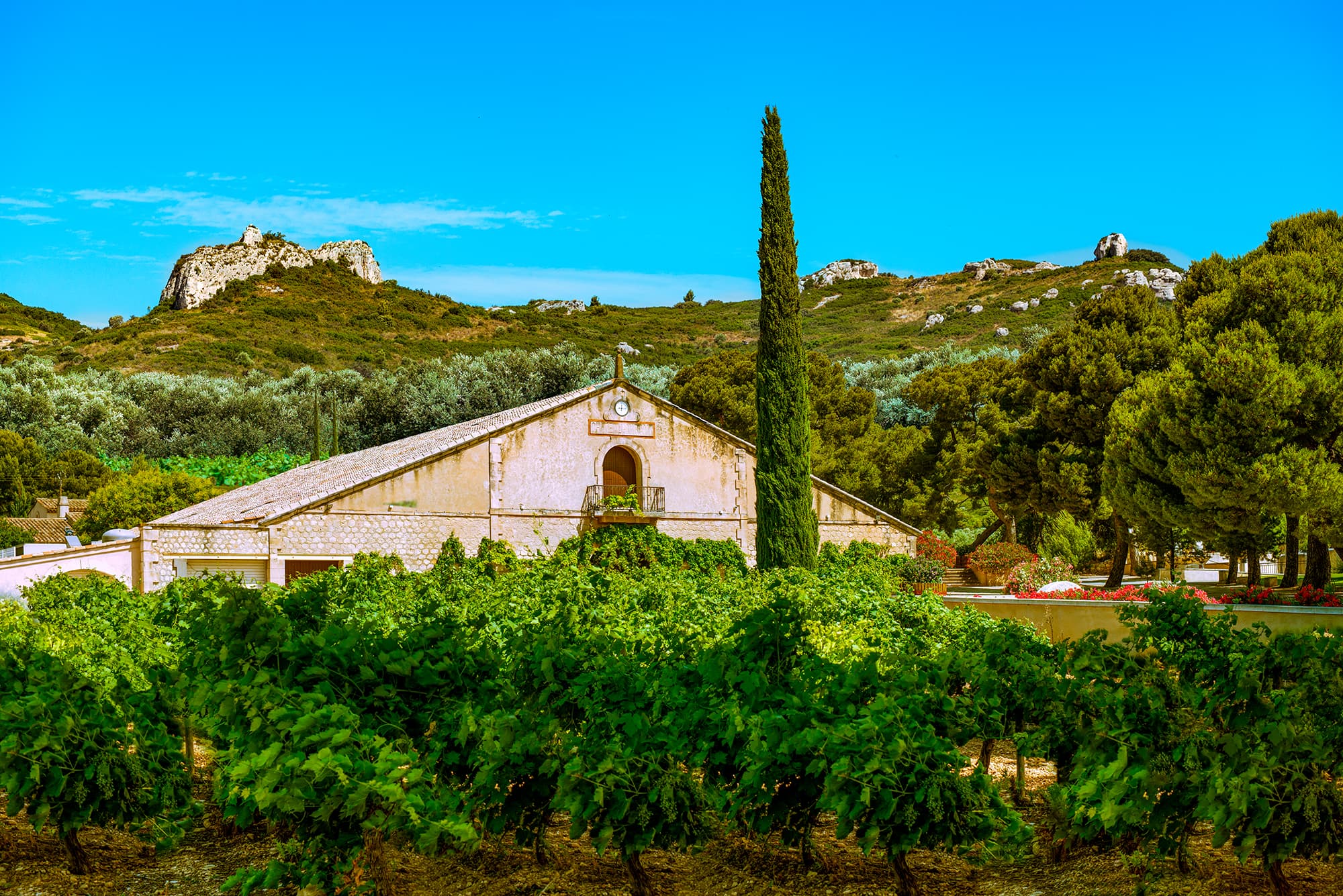 Château Virant