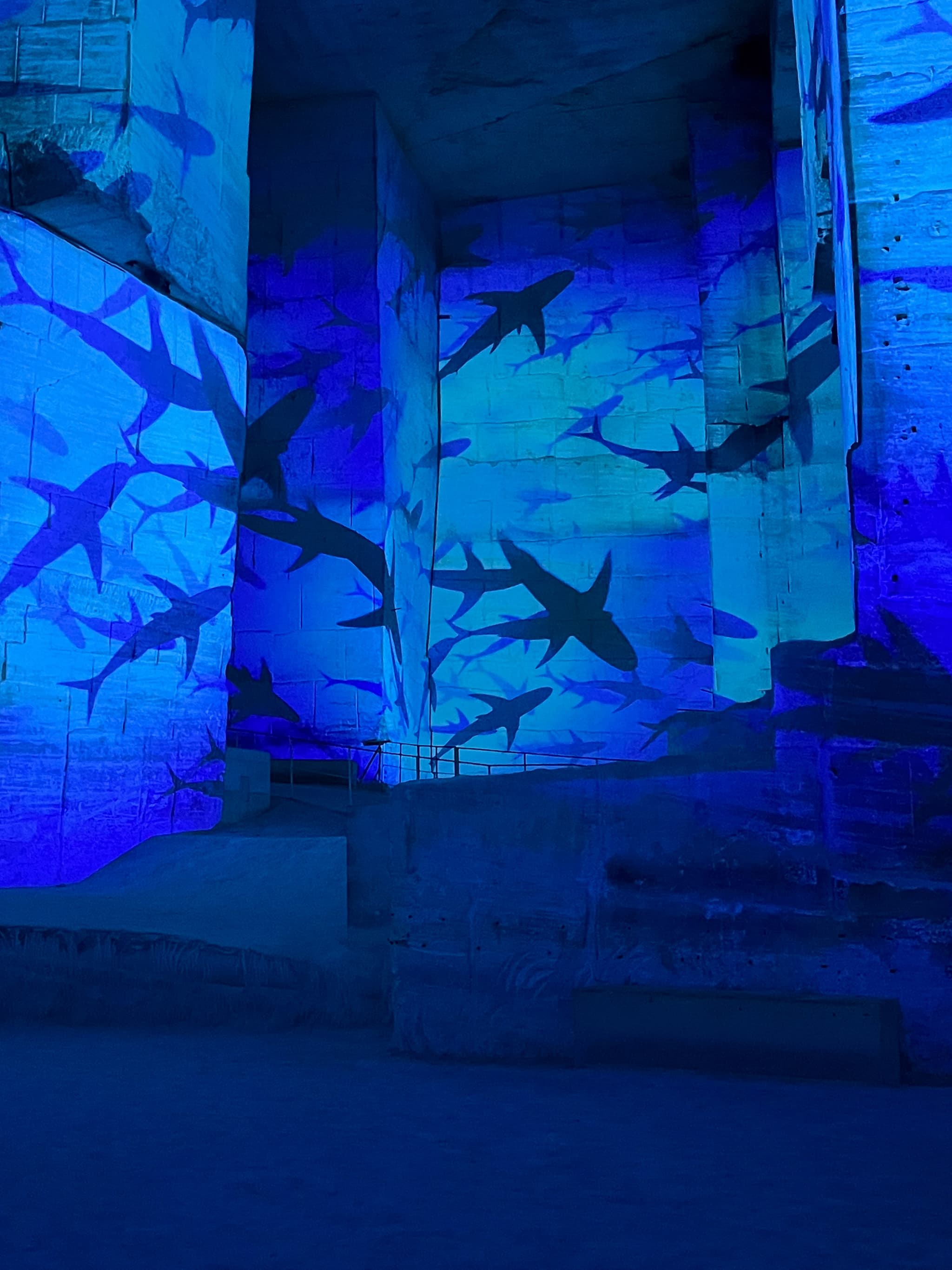 Carrières-des-Lumières : Océan, immersion dans le monde sous-marin_Les Baux-de-Provence