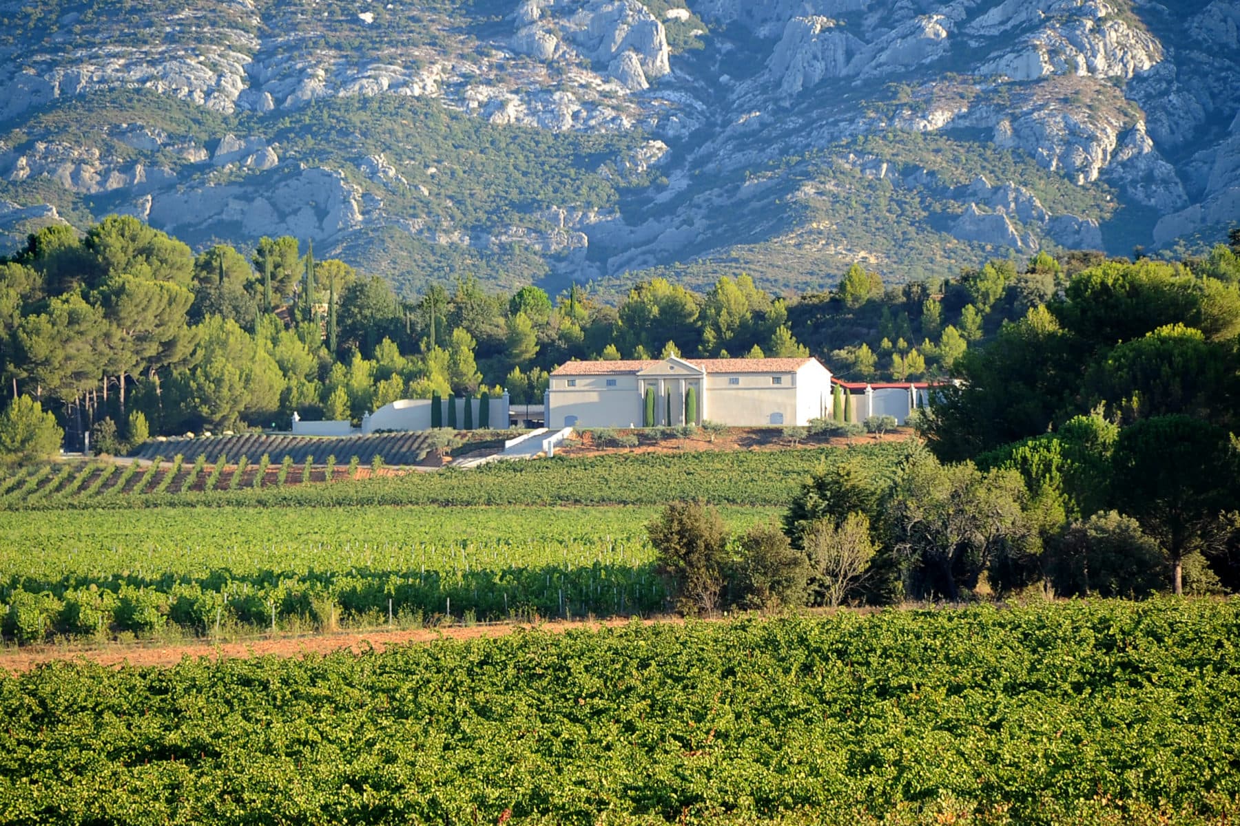 Domaine viticole du Château Gassier à Puyloubier
